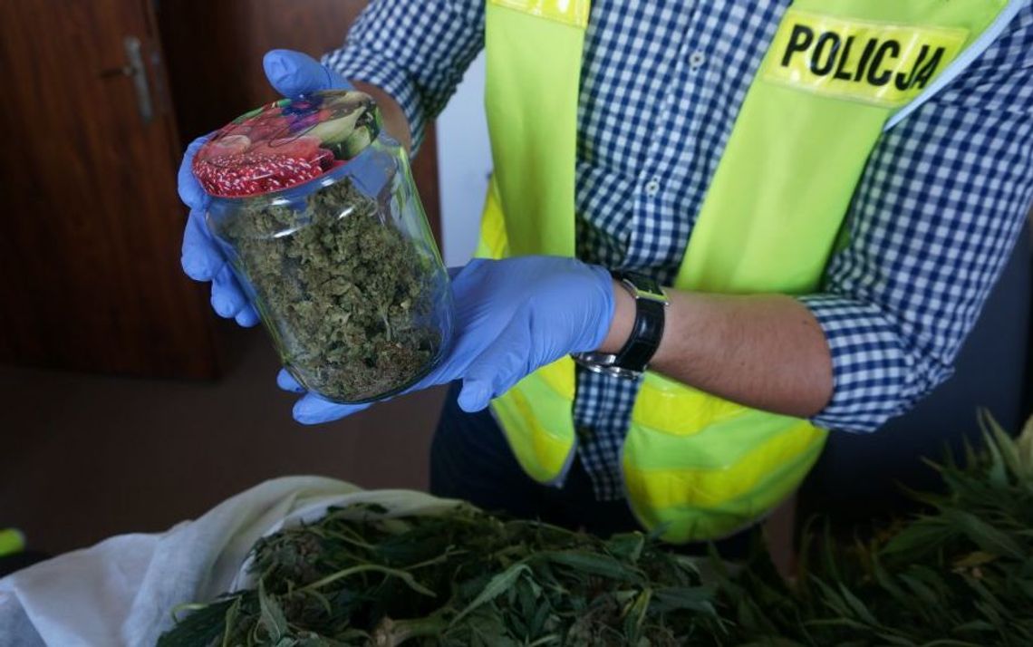 Handlowali narkotykami i uprawiali marihuanę - teraz odpowiedzą przed sądem 