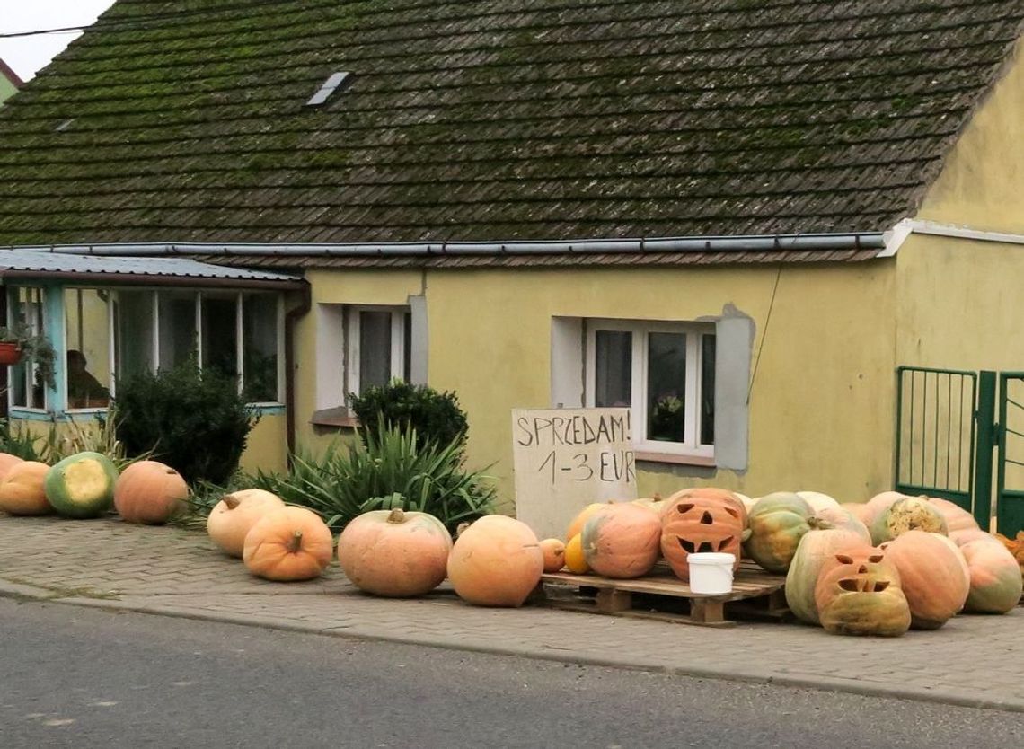 Helloweenowy przydrożny biznes Helloweenowy przydrożny biznes