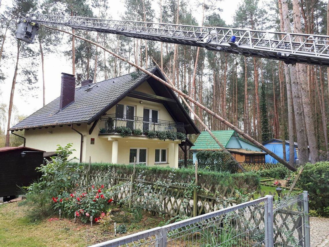 Idzie do nas groźny Marcin. Ostrzeżenie przed silnym wiatrem