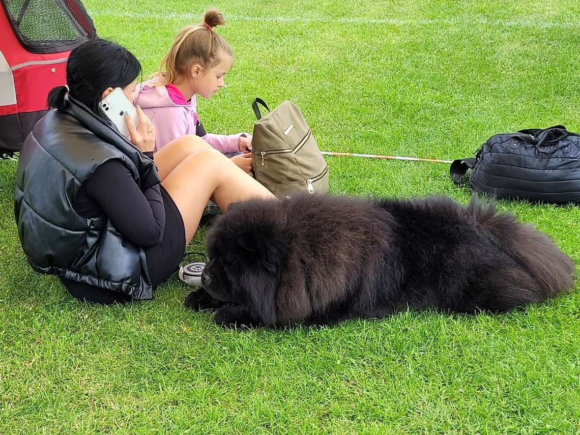 Idzie upał. Pamiętajmy nie tylko o sobie, ale i o zwierzętach Idzie upał. Pamiętajmy nie tylko o sobie, ale i o zwierzętach