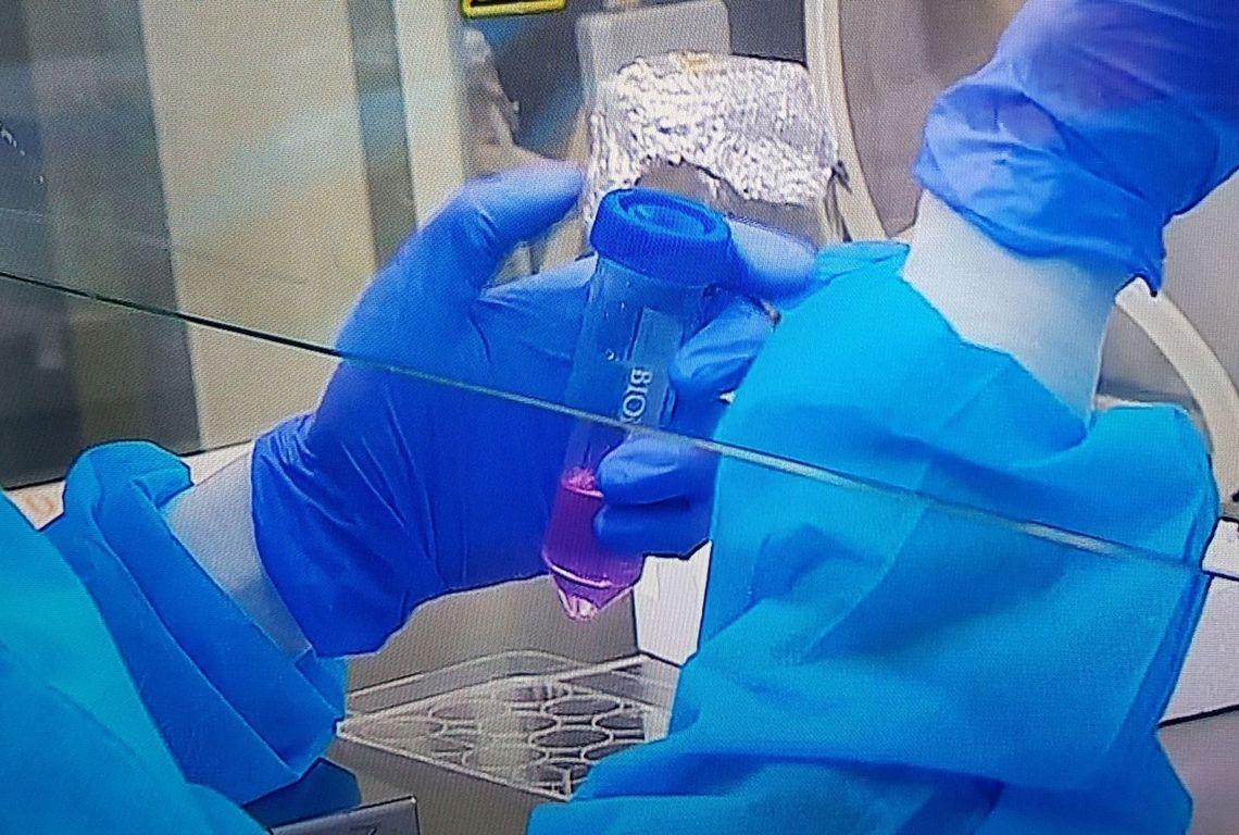 Informujemy o kolejnych zakażeniach i zgonach Informujemy o kolejnych zakażeniach i zgonach