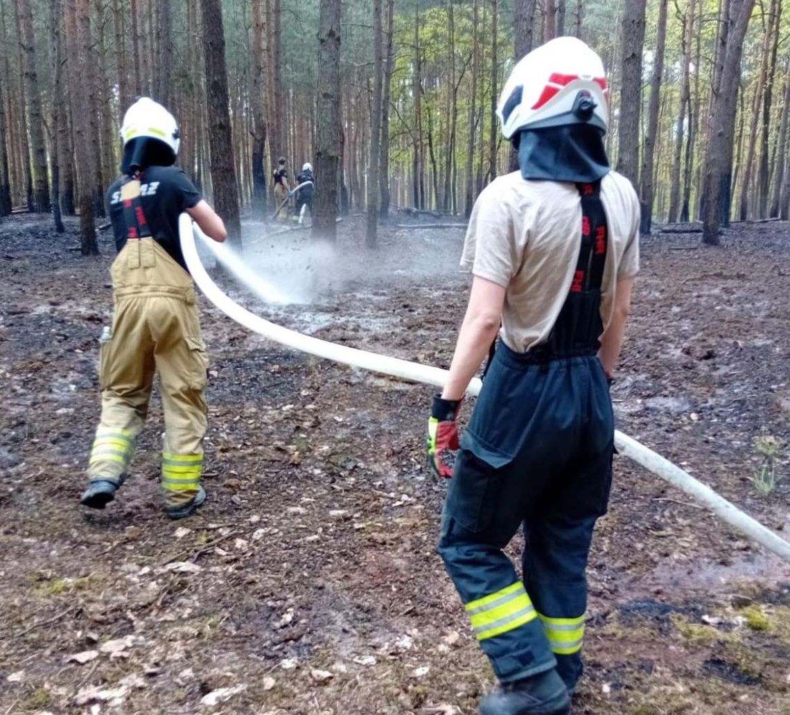 Intensywnie walczyli z pożarami. Aż trudno uwierzyć co się paliło