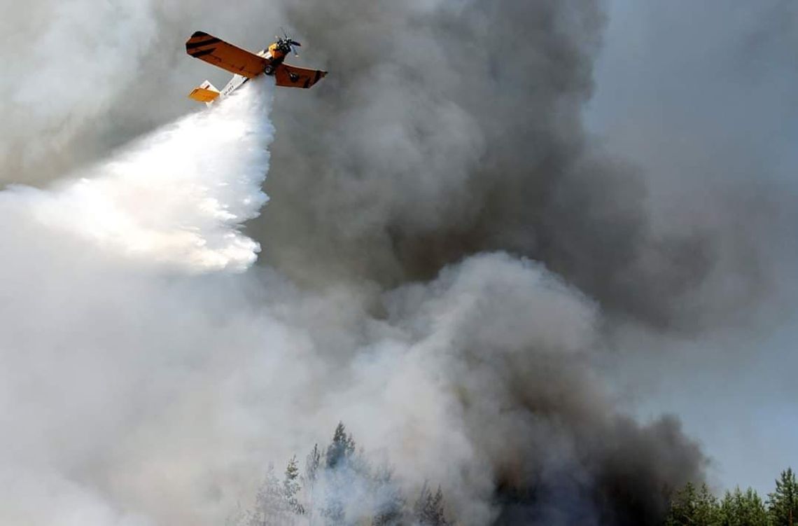 Interweniowali przy pożarach traw i nieużytków bezpośrednio zagrażających lasom
