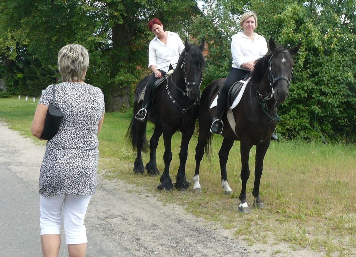 Jak było na pikniku w Wirowie Jak było na pikniku w Wirowie