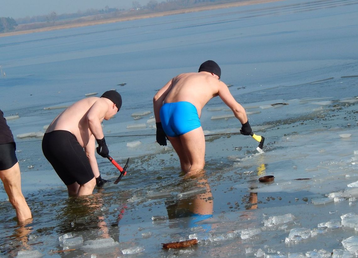 Jak kąpały się gryfińskie morsy Jak kąpały się gryfińskie morsy