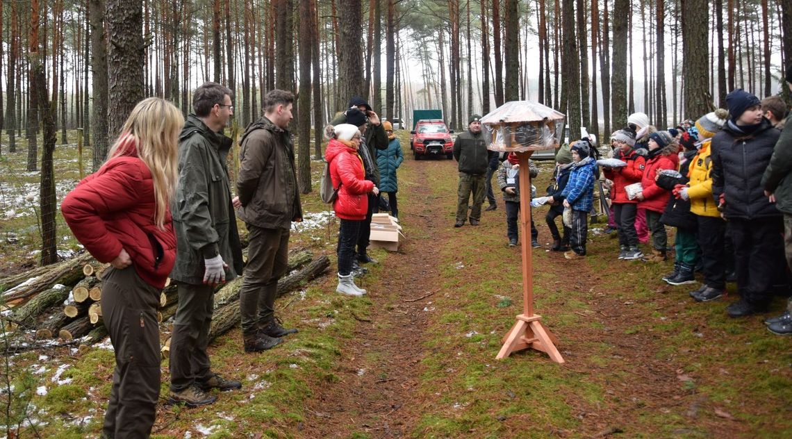 Jak mądrze dokarmiać zwierzęta leśne i ptaki