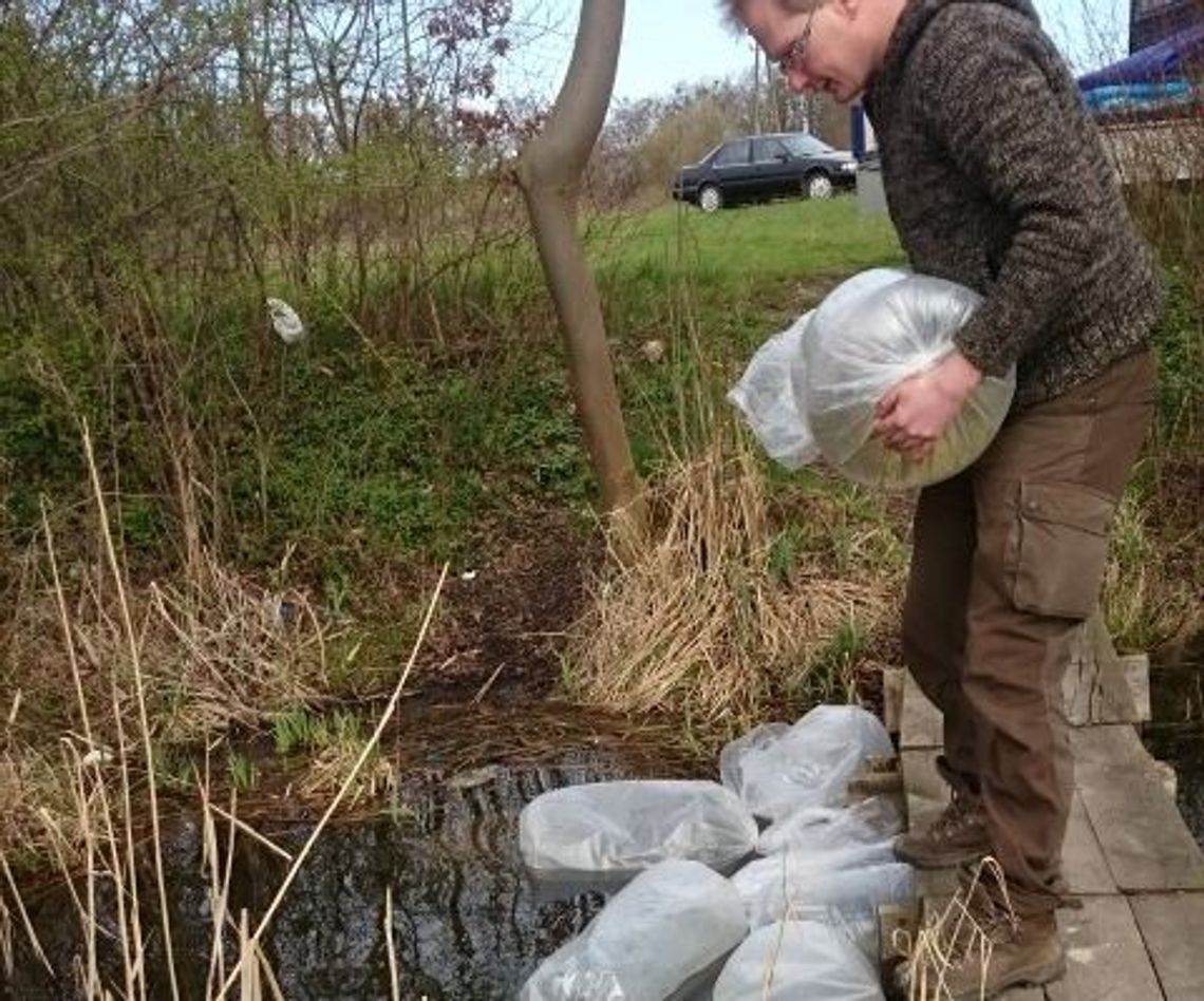 Jak oni to robią w jeziorze Jak oni to robią w jeziorze