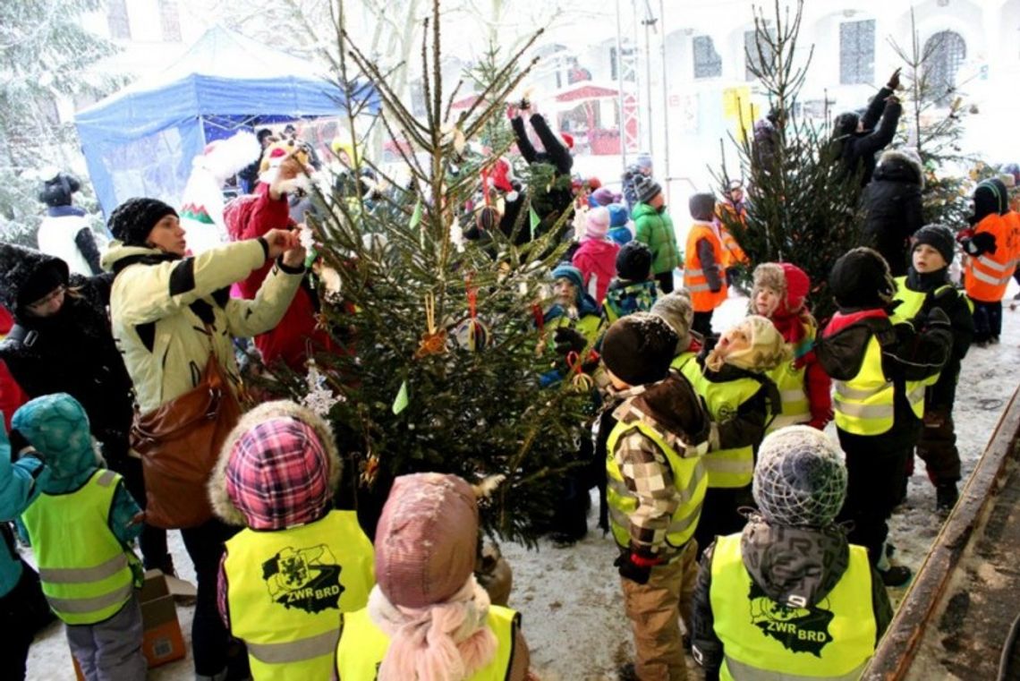 Jak spędzić święta ekologicznie Jak spędzić święta ekologicznie