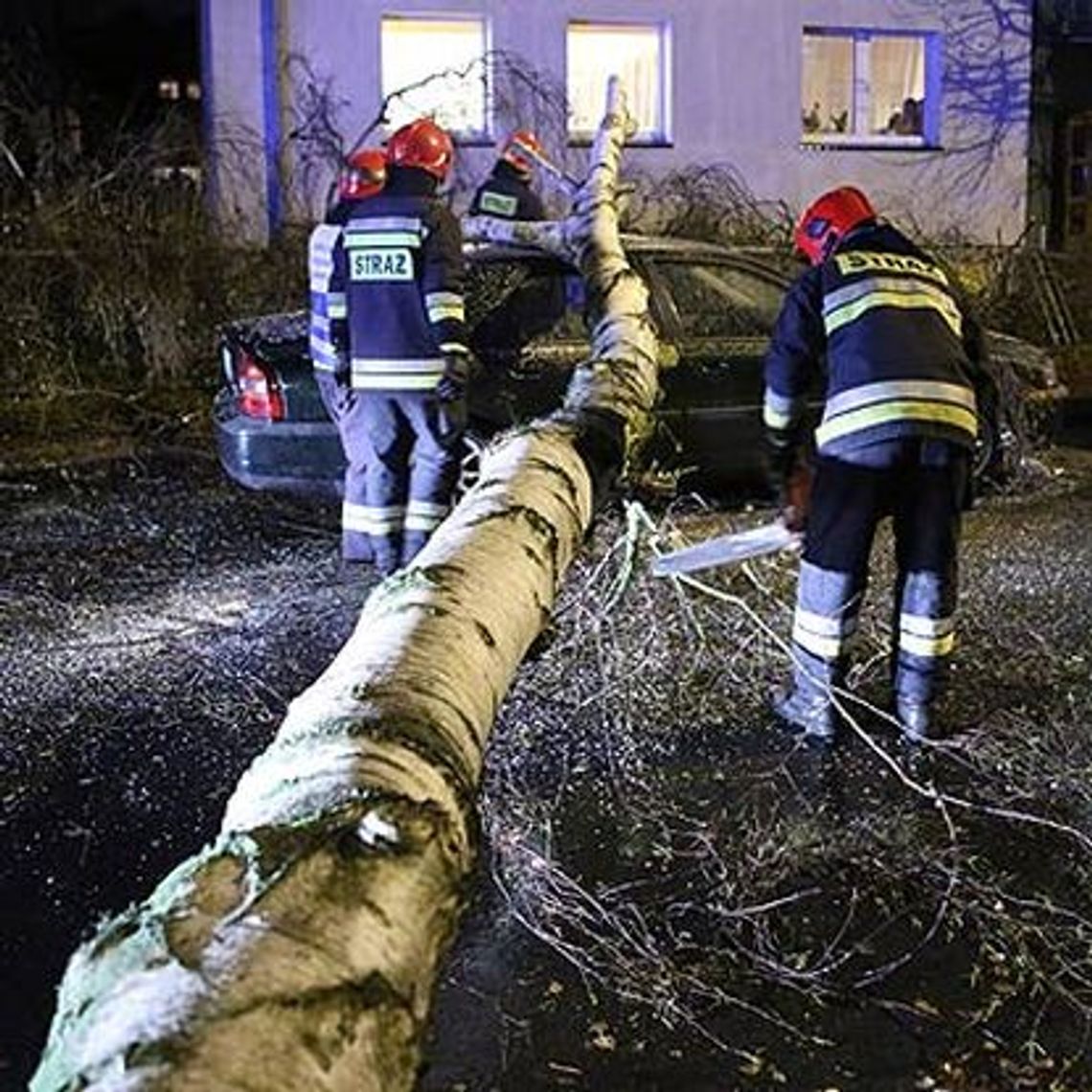 Jakie są straty po huraganie