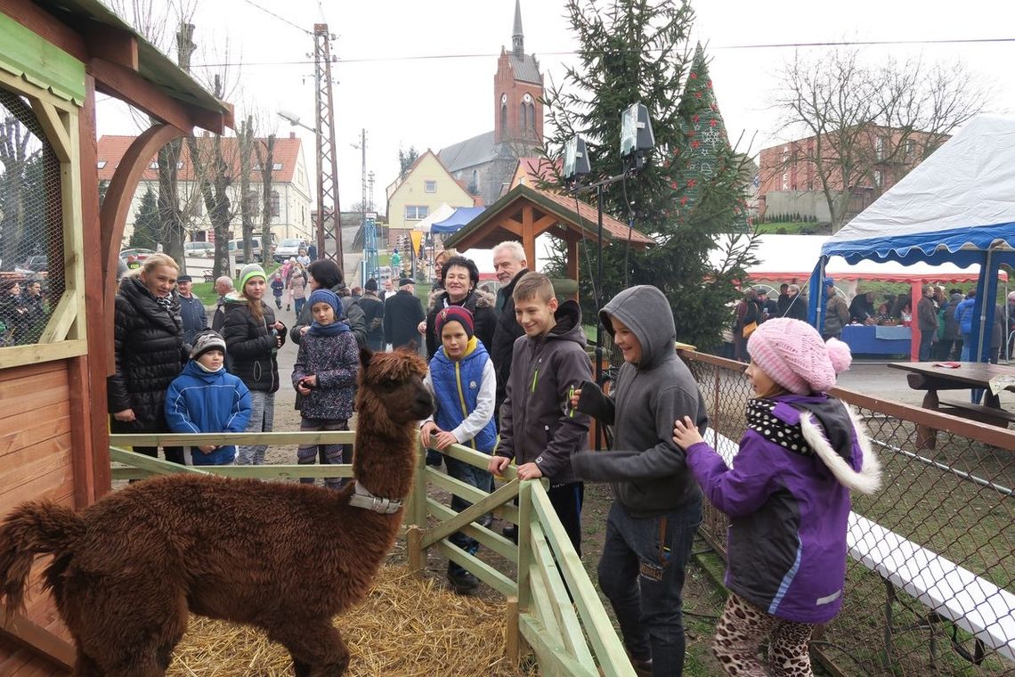 Jarmark Bożonarodzeniowy w Cedyni – fotorelacja