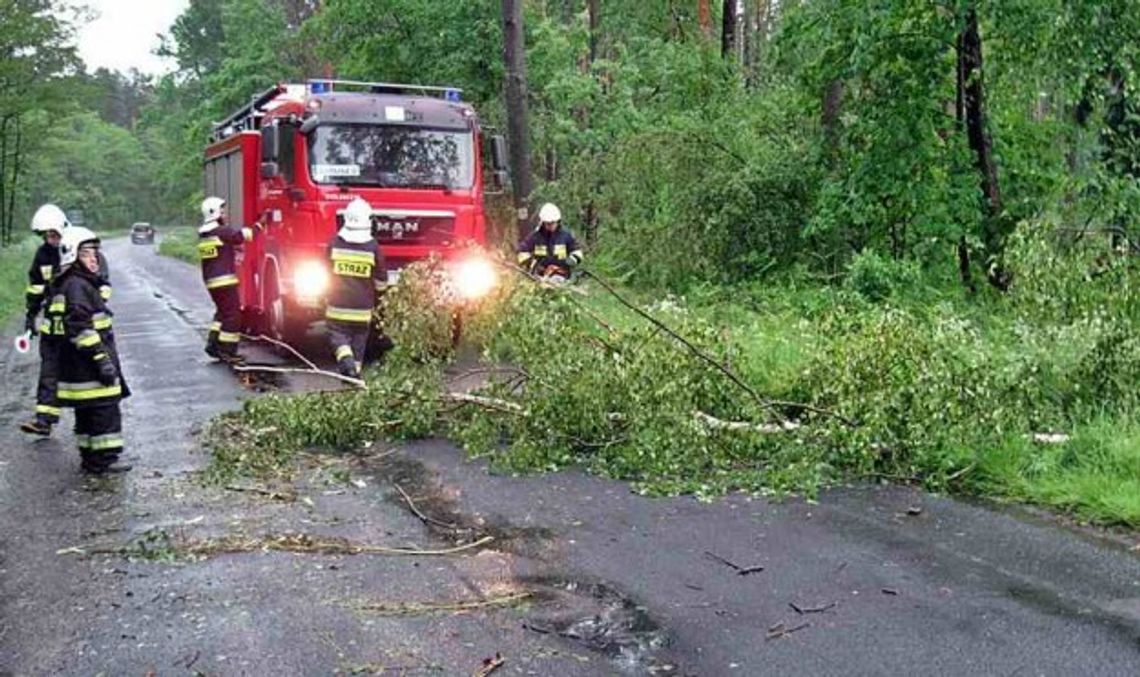 Jednego dnia dziewiętnaście zdarzeń