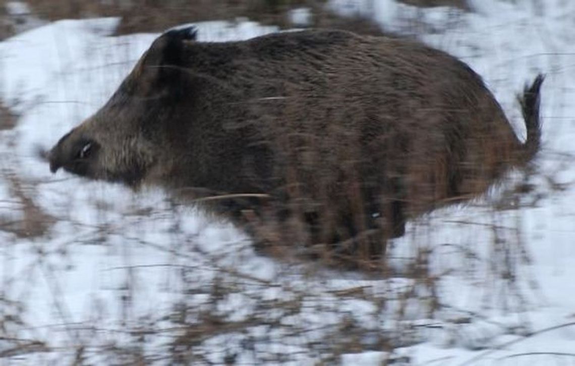 Jednego uratowali, a drugi utonął Jednego uratowali, a drugi utonął
