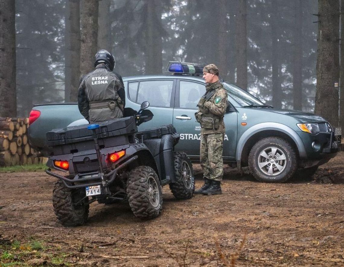 Uważaj na grzybach, w lasach ruszyły kontrole. Fotopułapki i mandaty dla niesfornych kierowców Uważaj na grzybach, w lasach ruszyły kontrole. Fotopułapki i mandaty dla niesfornych kierowców