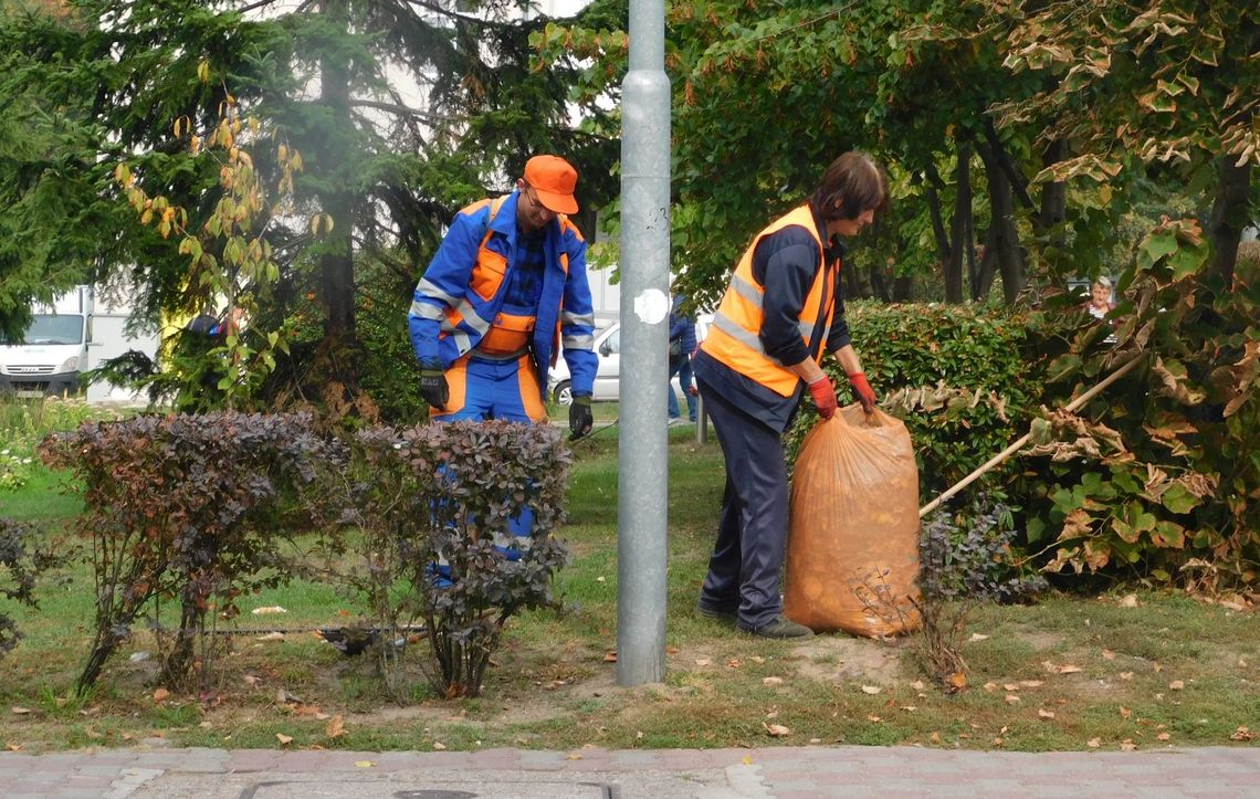 Jesienne porządki w Gryfinie