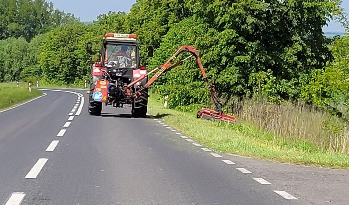 Jest sucho, ale koszą. Będziemy mieli "żółte pobocza"? Jest sucho, ale koszą. Będziemy mieli "żółte pobocza"?