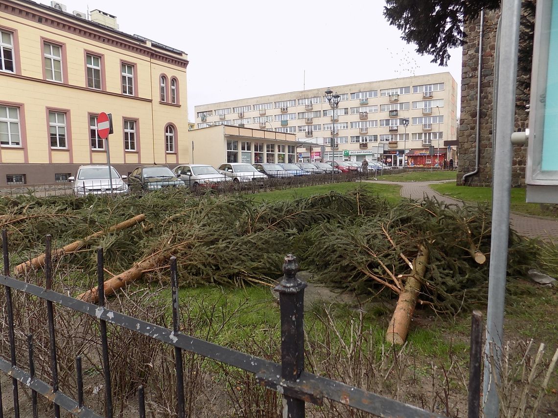  Jeszcze wiosny nie widać,  ale...