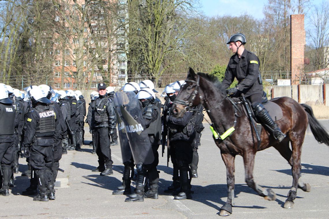 Jeźdźcy w mundurach i na koniach [foto, wideo]