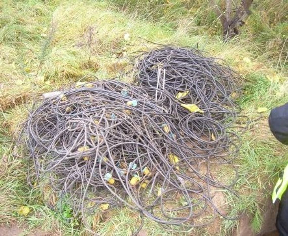 Kablarze zatrzymani przez policję Kablarze zatrzymani przez policję