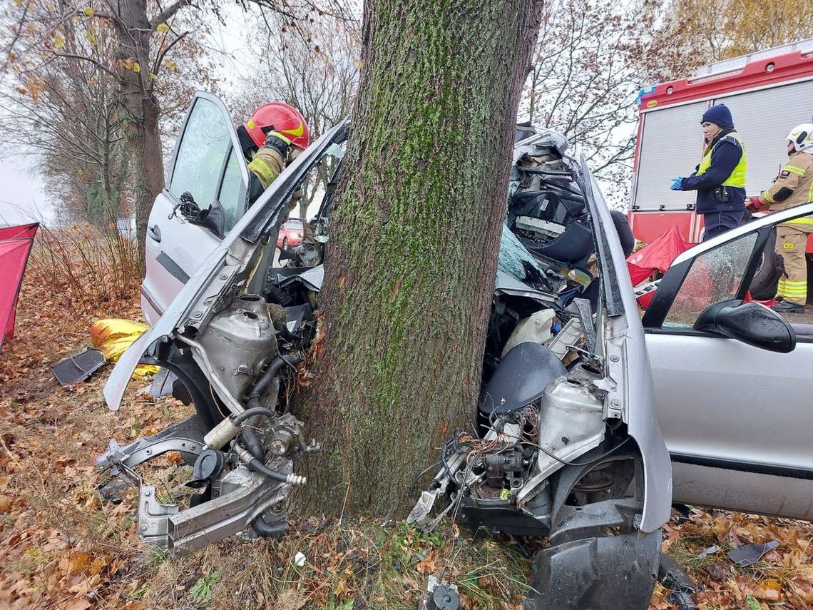 Wjechał prosto w drzewo. Śledztwo ma ustalić przyczyny