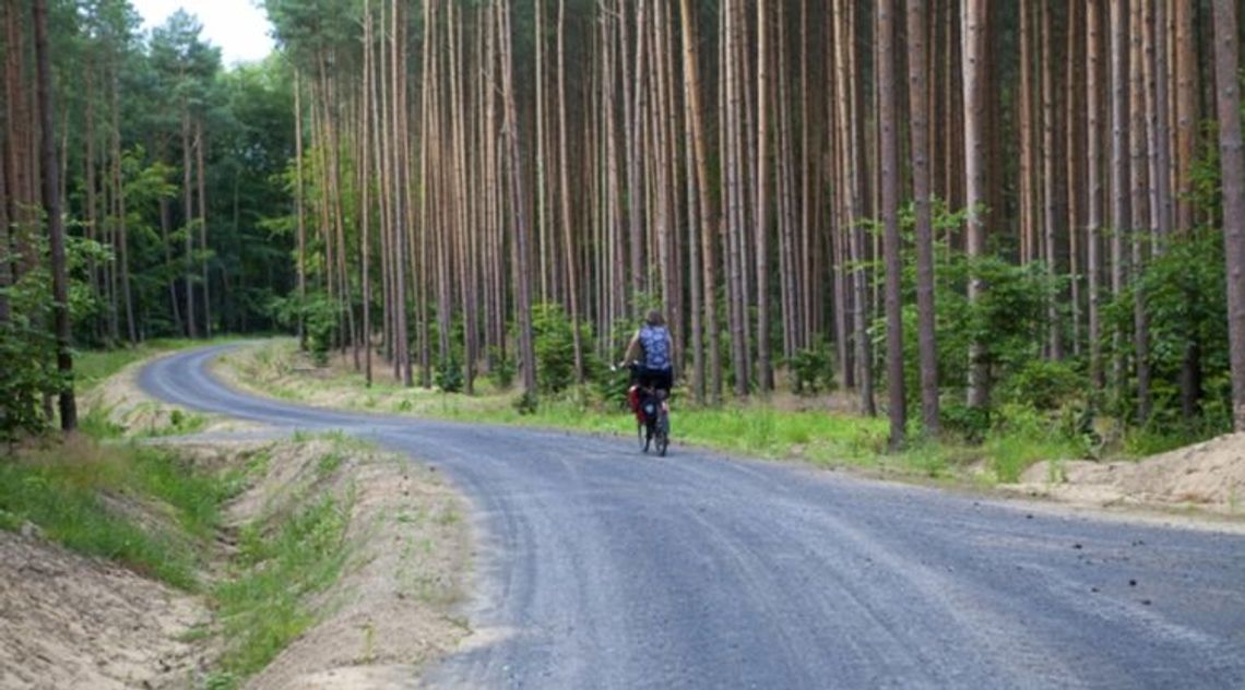 Kolejne kilometry tras rowerowych coraz bliżej Kolejne kilometry tras rowerowych coraz bliżej
