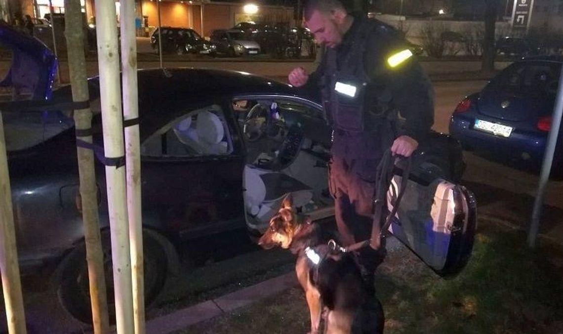 Kompletnie odurzony stracił rozum? Kompletnie odurzony stracił rozum?