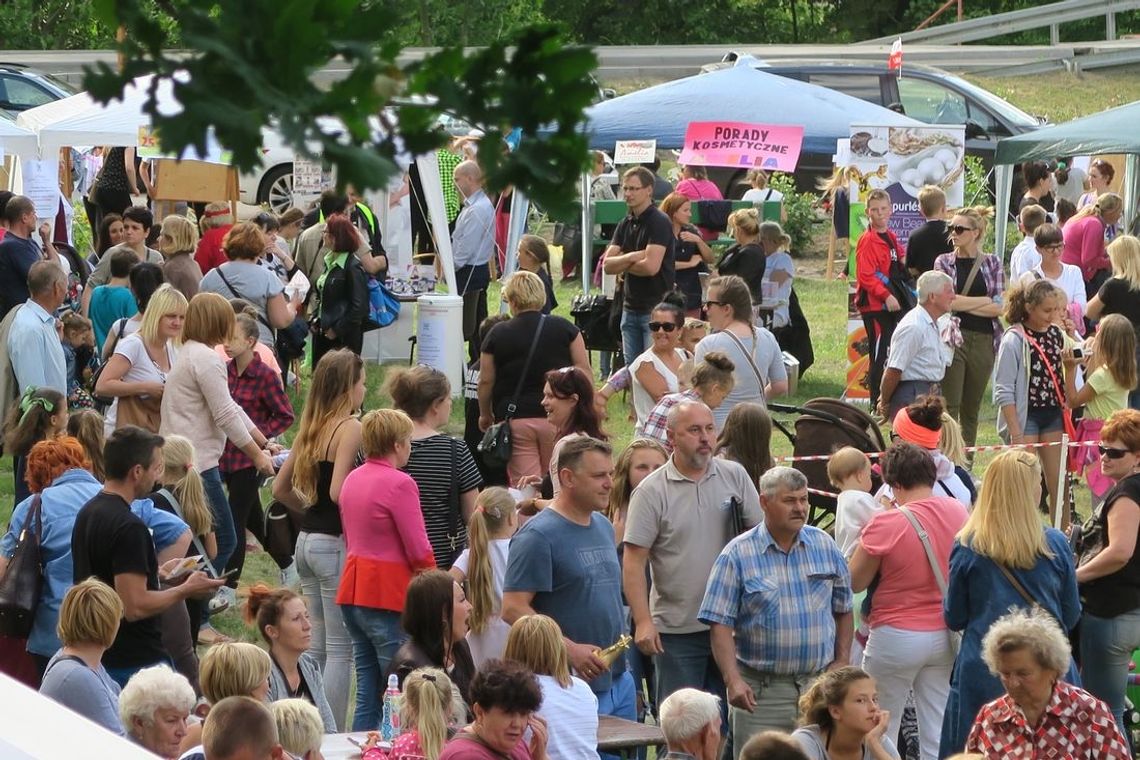 Komu dziękują za imprezę „Po zdrowie pod platana”. Komu dziękują za imprezę „Po zdrowie pod platana”.