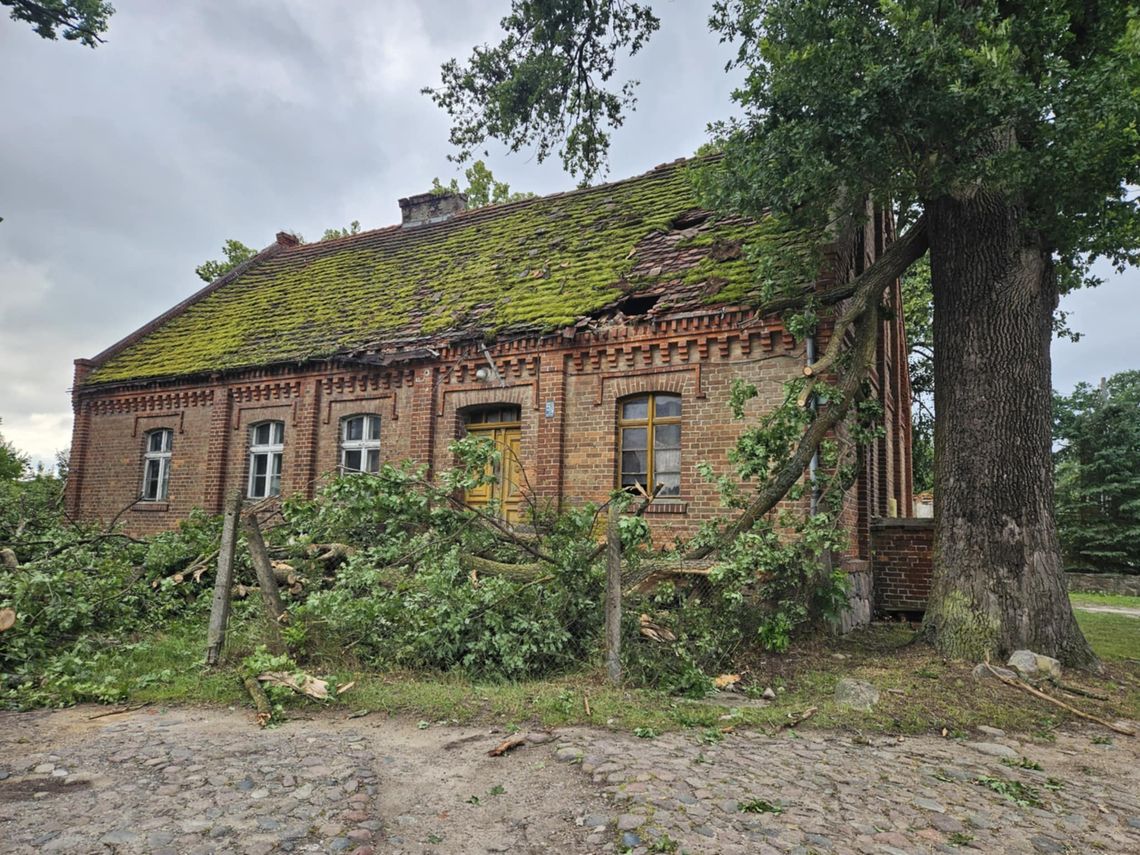 Konar zrobił dziury w dachu. Dziewczyna uratowała własną siostrę