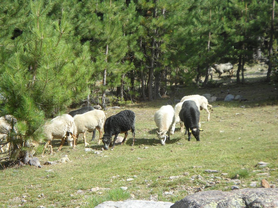 Korsykańskie opowieści Krasickiego. Uczucie 3 D Korsykańskie opowieści Krasickiego. Uczucie 3 D