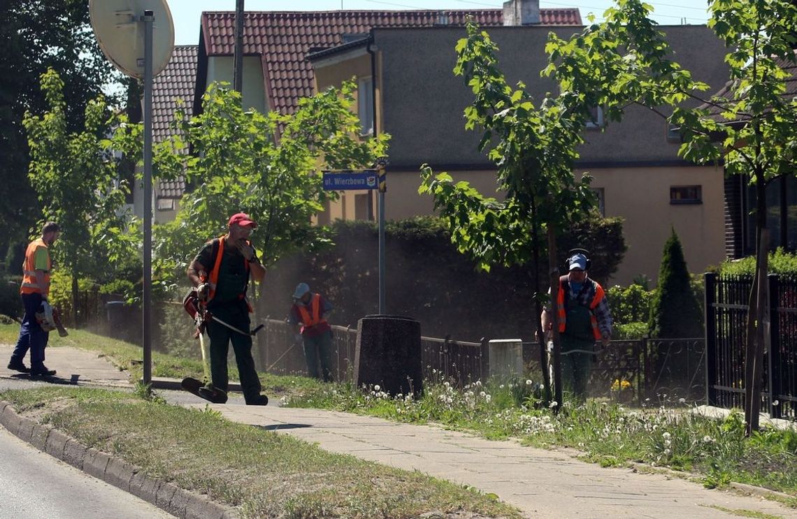 Koszą na Łużyckiej