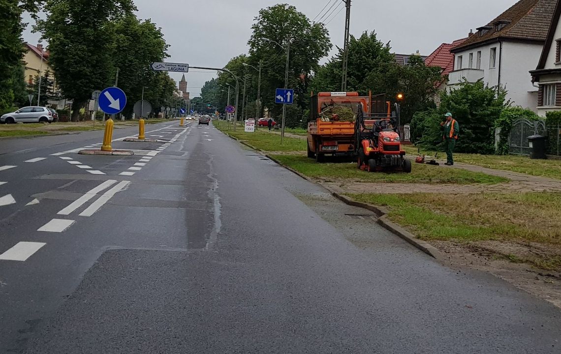 Koszą w Gryfinie i na Międzyodrzu