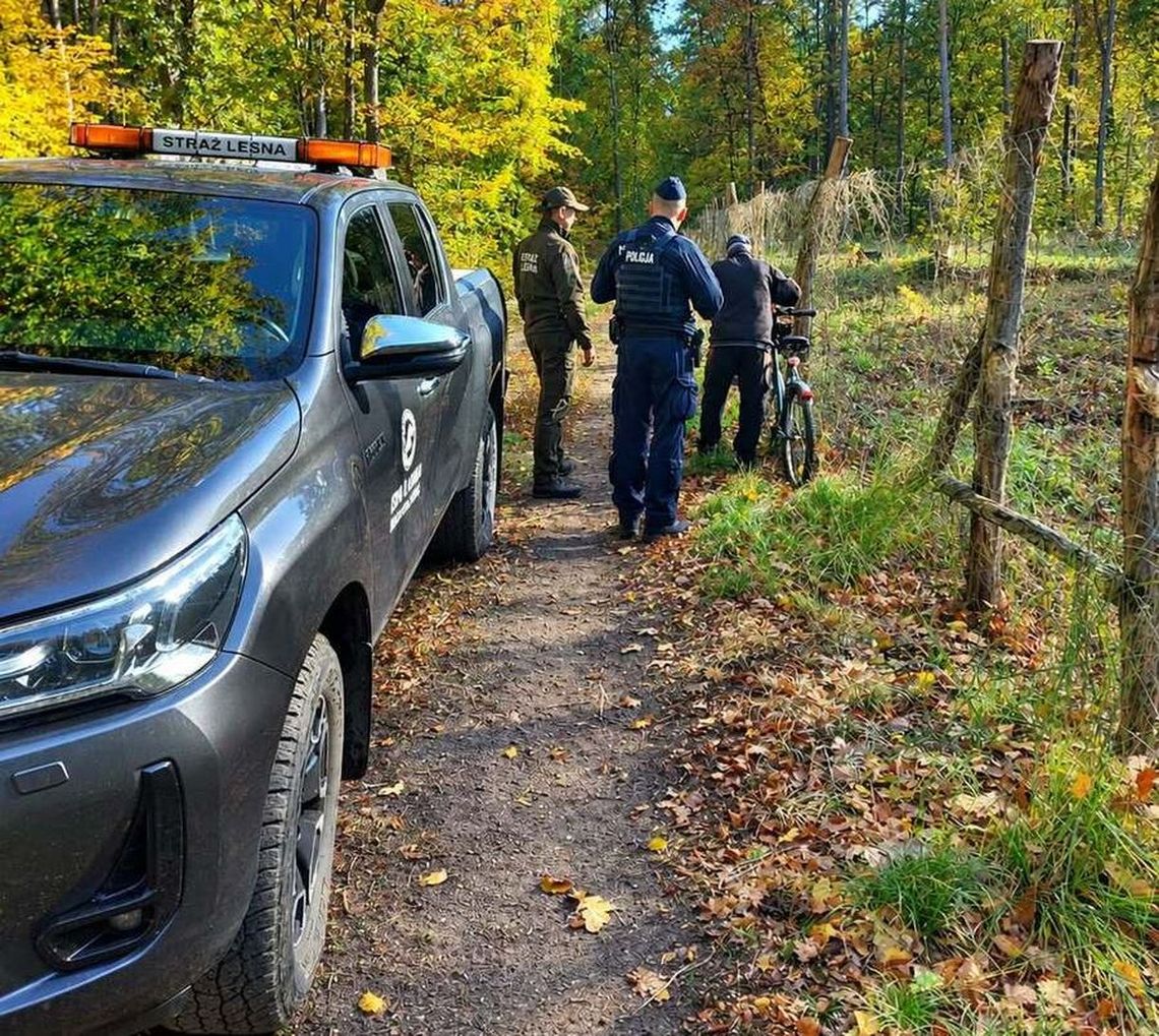 Kradną gałęzie na groby w lasach koło Gryfina! Policja i Straż Leśna ruszyły do wspólnych kontroli Kradną gałęzie na groby w lasach koło Gryfina! Policja i Straż Leśna ruszyły do wspólnych kontroli