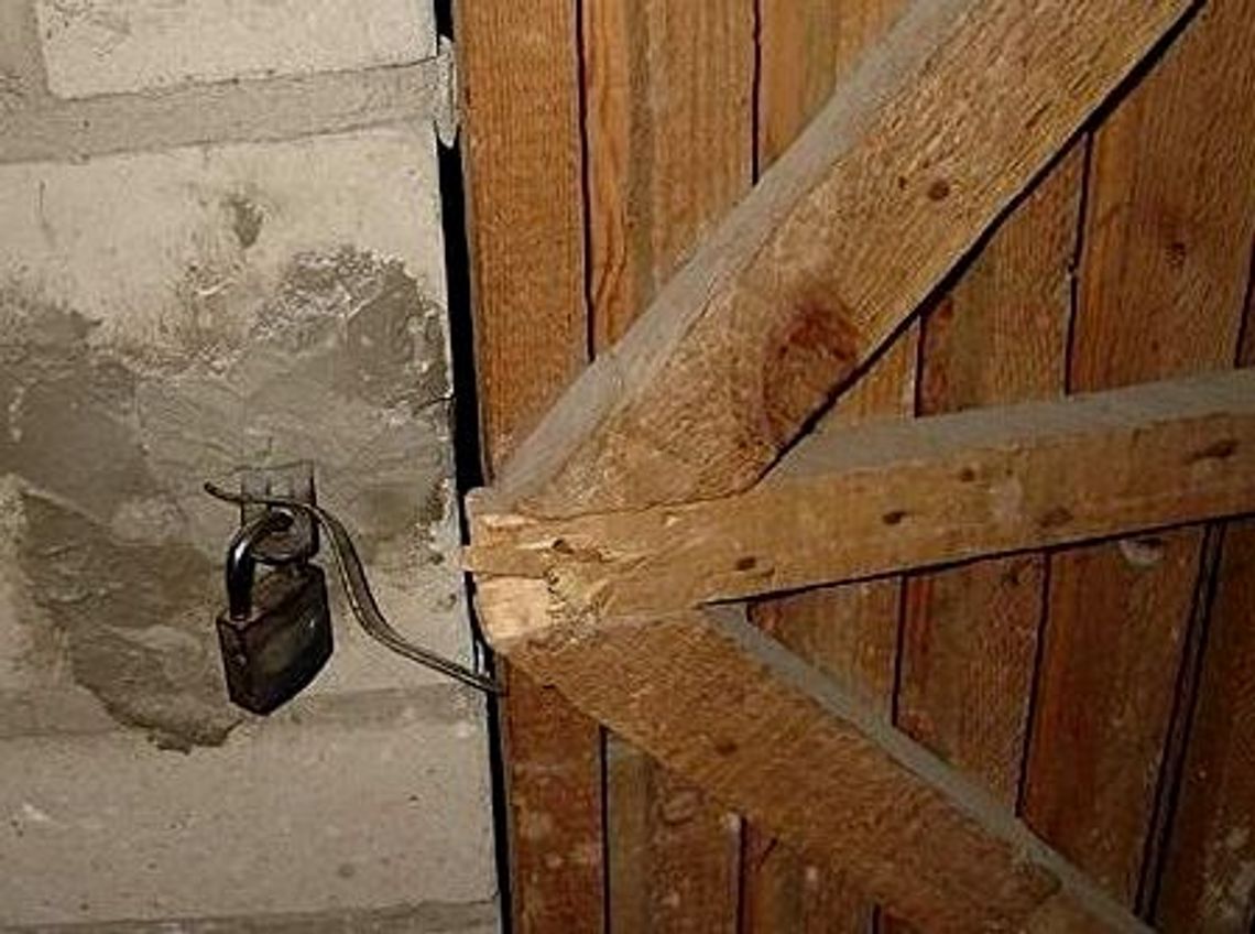 Kradzieże i awantury Kradzieże i awantury