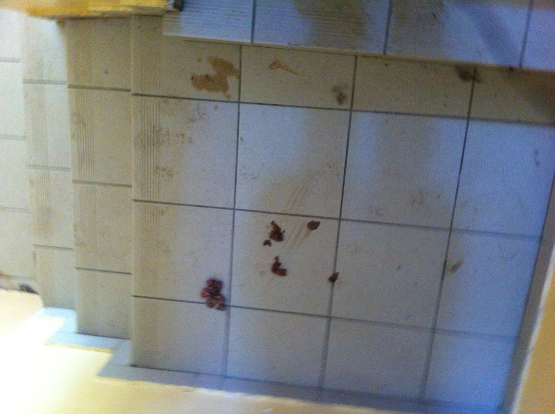 Kto ma sprzątać po kocie? Kto ma sprzątać po kocie?