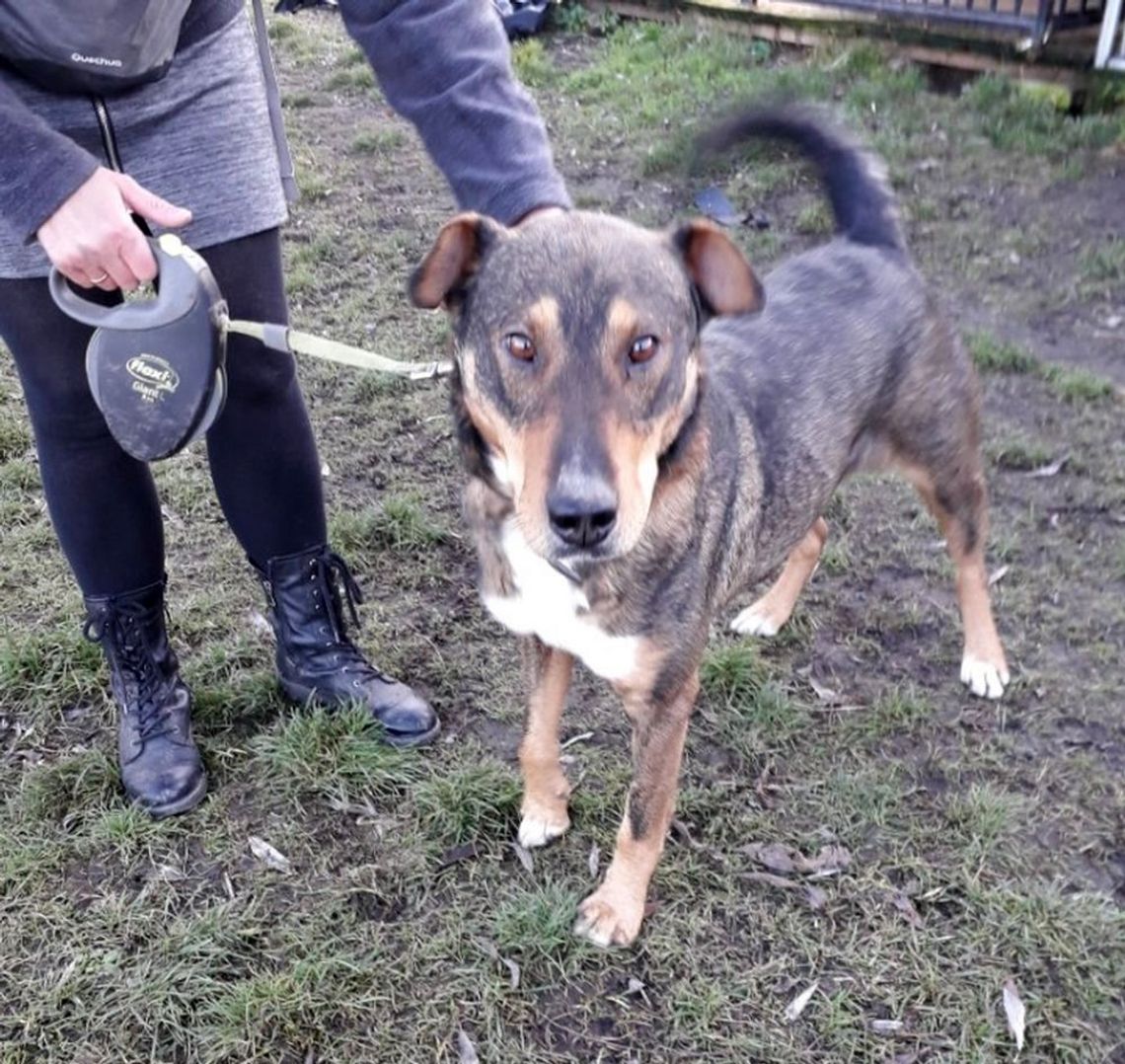 Kto pokocha Maksa? Kto pokocha Maksa?