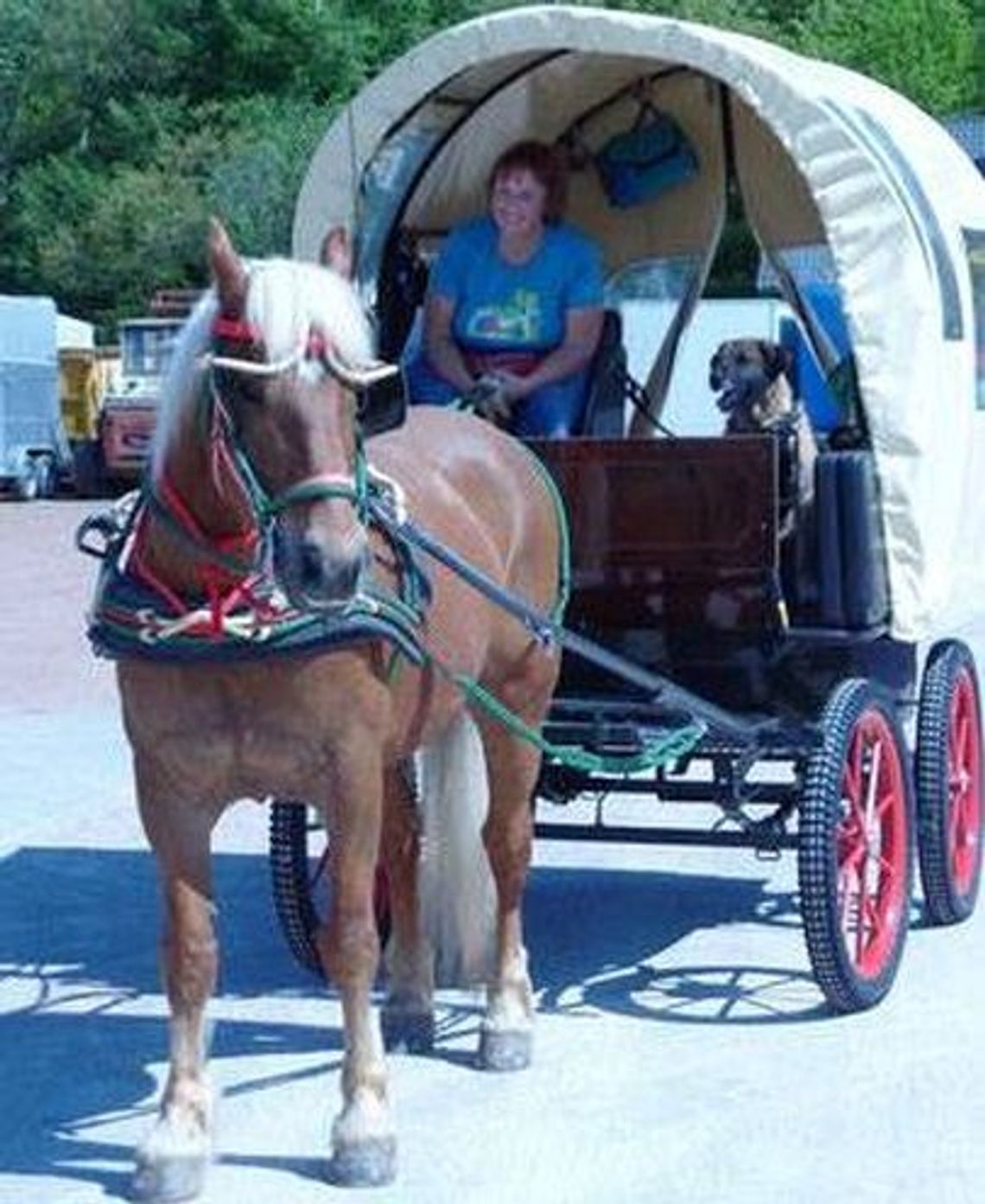 Kto pomoże podróżującej wozem konnym Kto pomoże podróżującej wozem konnym