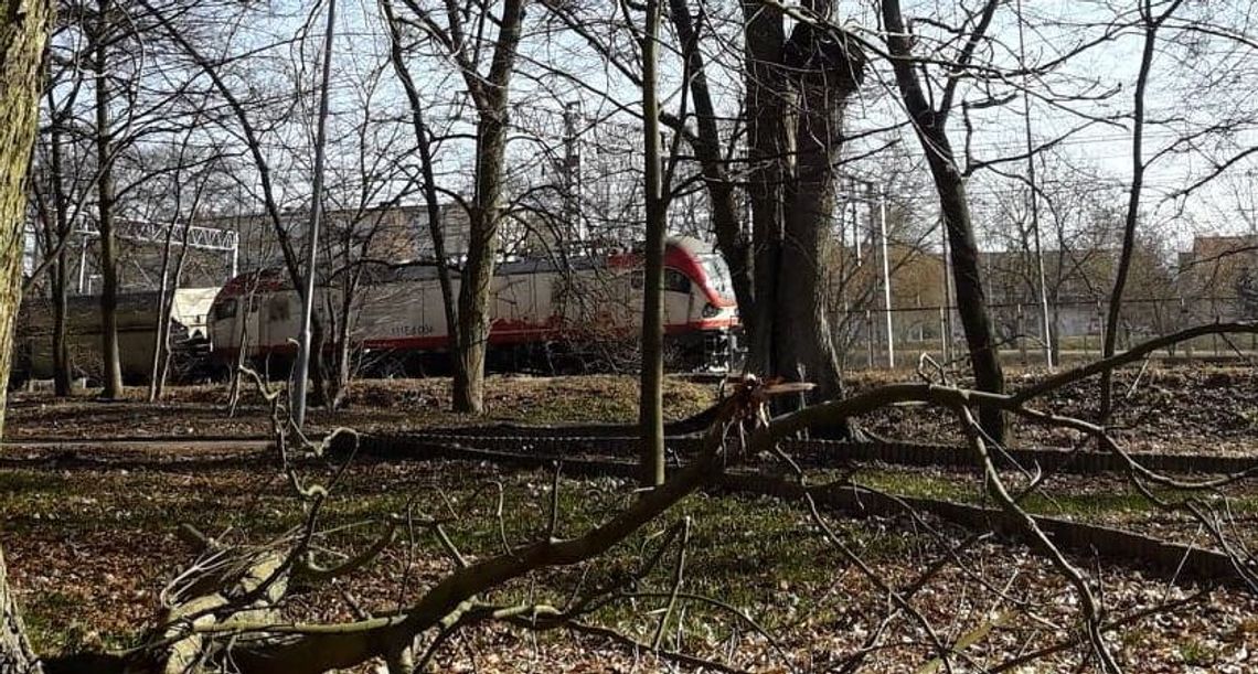 Kto posprząta w parku Kto posprząta w parku