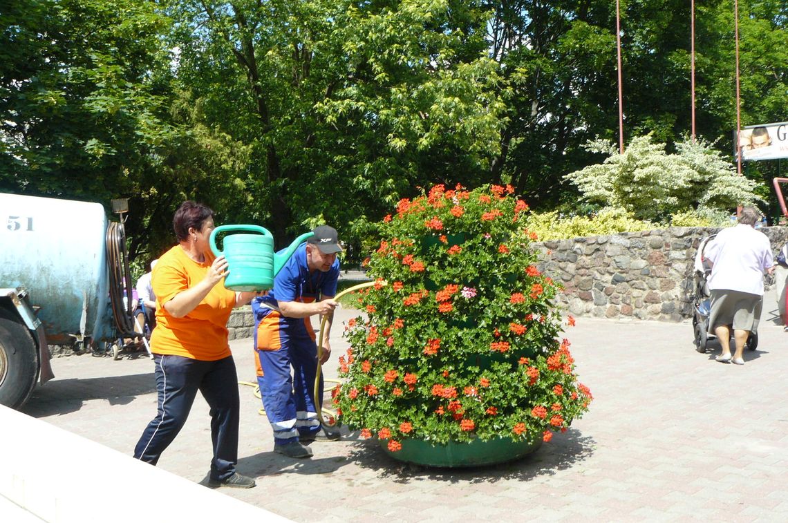 Kto ratował kwietniki