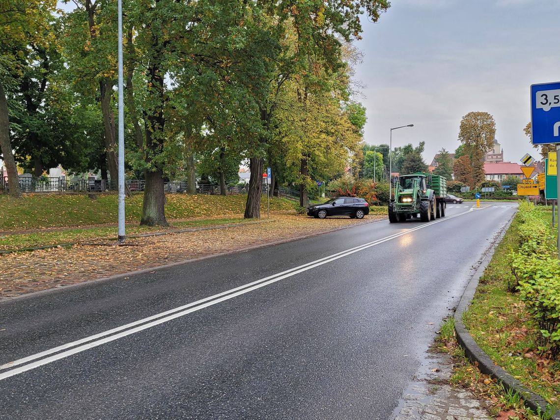 Kto sprzątnie wreszcie śmierdzące truchło koło cmentarza?