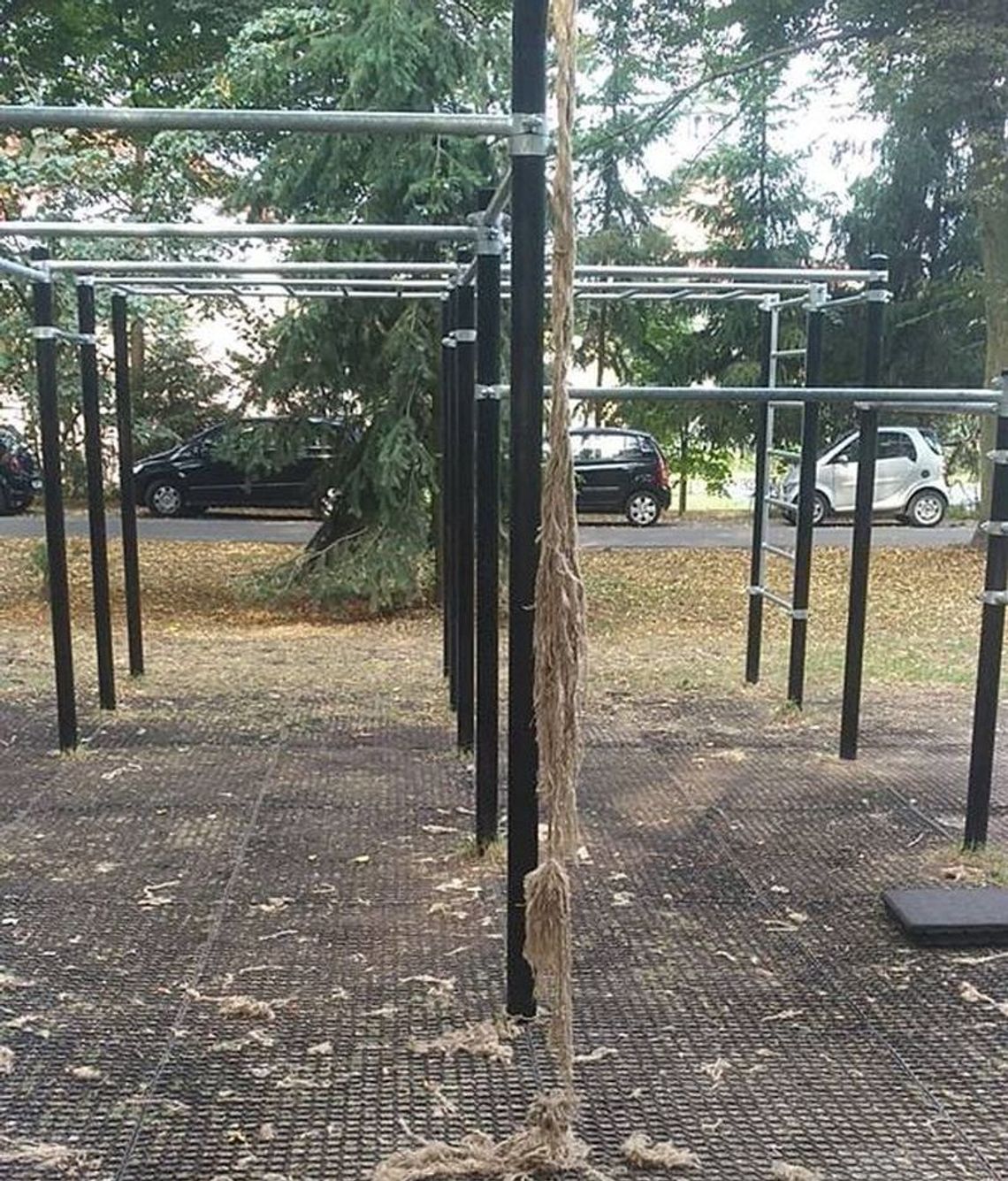 Kto zniszczył linę w parku?! Kto zniszczył linę w parku?!