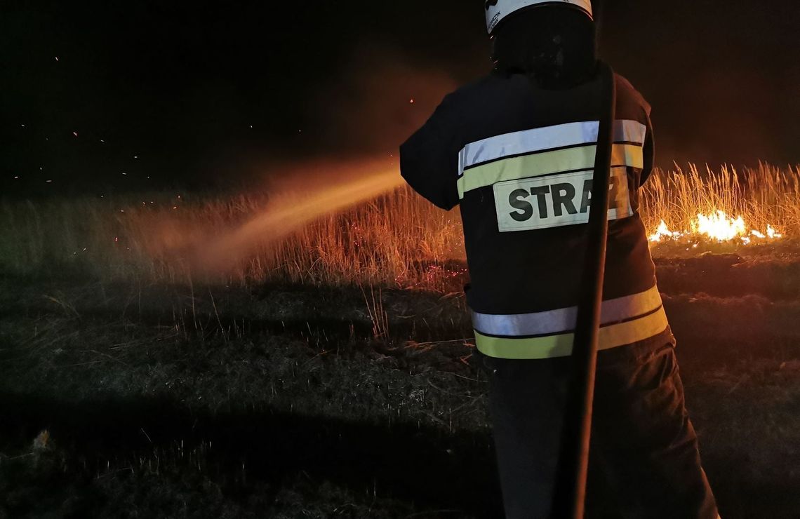 Ktoś podpalił nieużytki