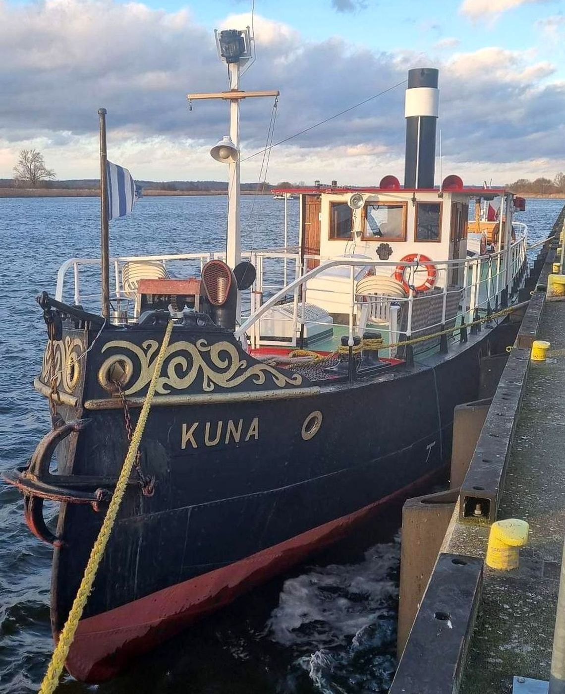 Kuna przybędzie do Gryfina