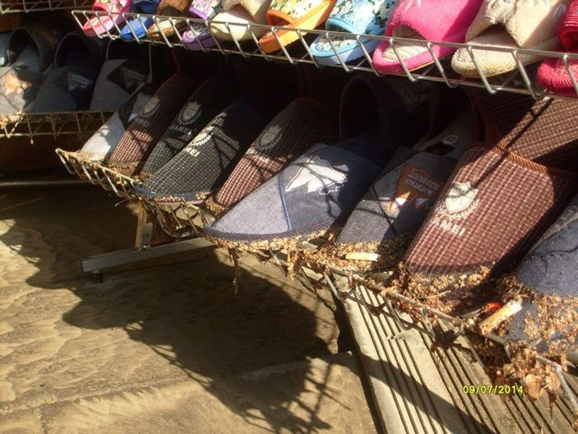 Kupcy obwiniają zarządcę gminnego targowiska Kupcy obwiniają zarządcę gminnego targowiska