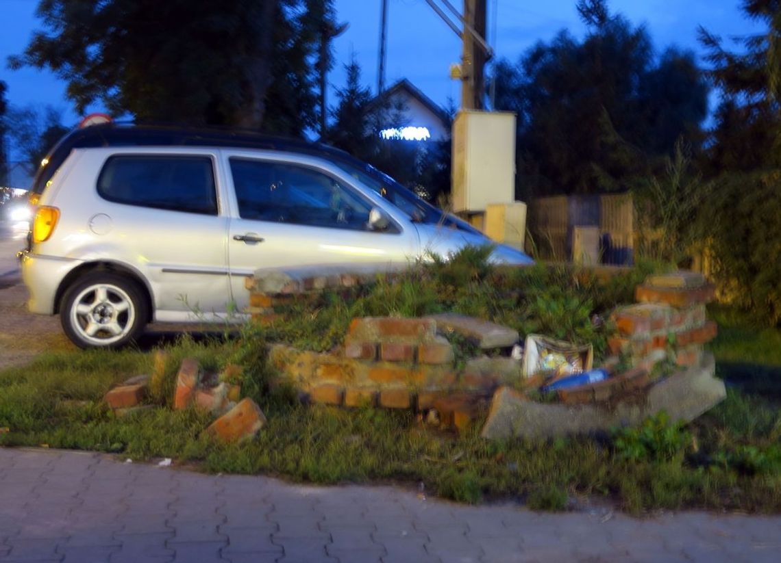 Kwietnik kompletna ruina Kwietnik kompletna ruina