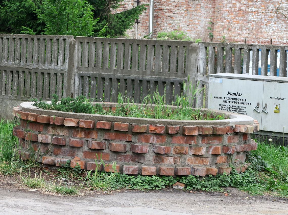 Kwietnik to, czy postrach? Kwietnik to, czy postrach?