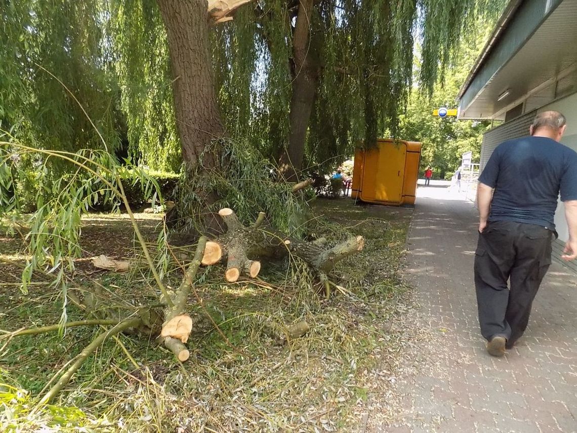 Łamią się jak zapałki, a służby czekają nie wiadomo na co