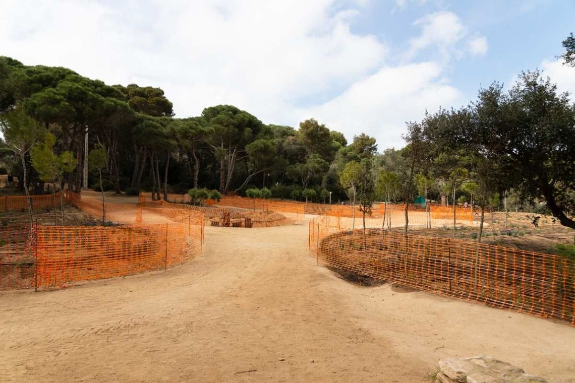 Lasy do rozdania. Niebezpieczna ustawa w Sejmie Lasy do rozdania. Niebezpieczna ustawa w Sejmie