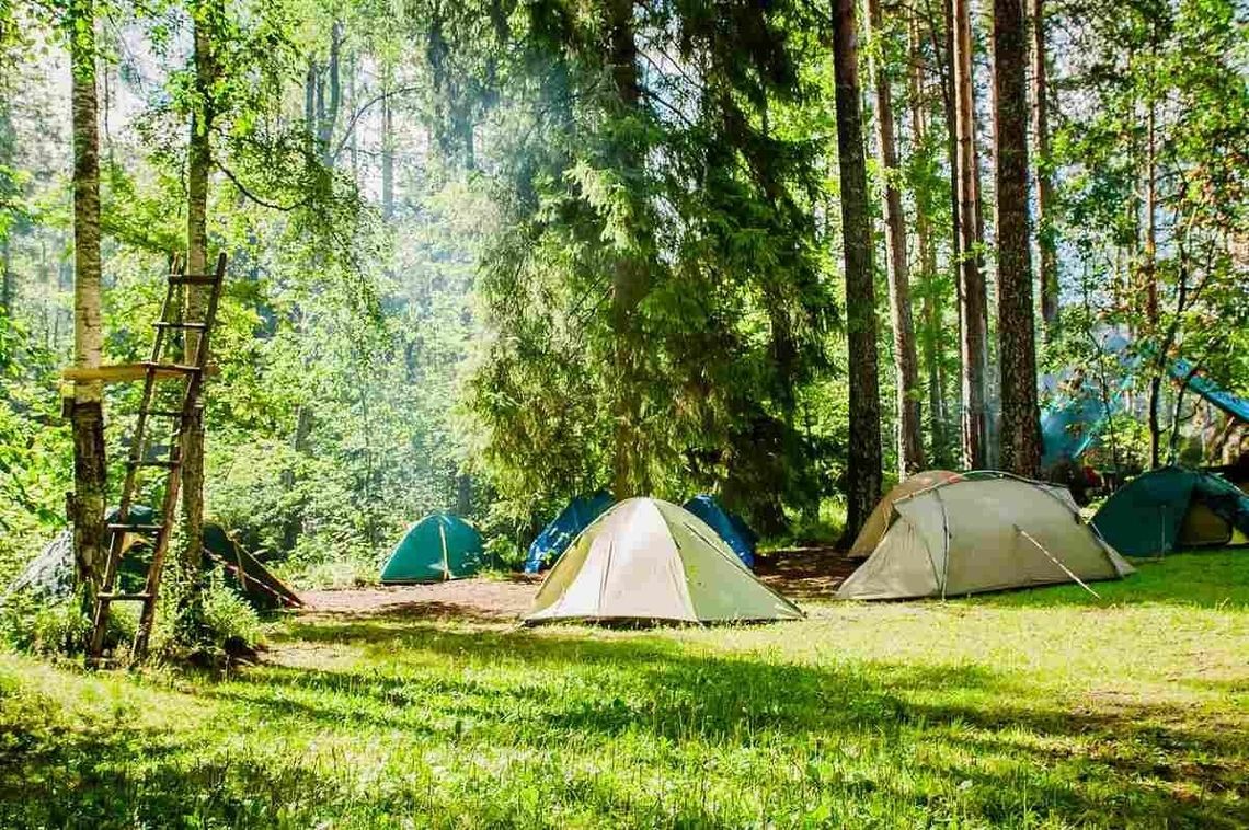 Zanocuj w lesie w 2026 r. Sprawdź aktualną mapę i zasady legalnego biwakowania w Lasach Państwowych