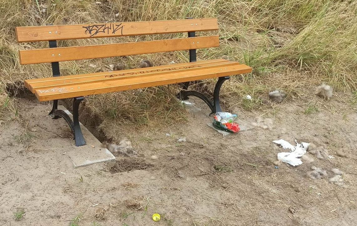 Ławki są, ale koszy brak. Bałagan robi się więc coraz większy