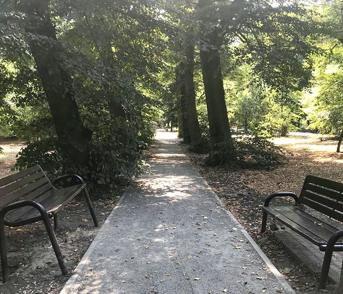 Ławki w parku dla olbrzymów i krasnoludków?