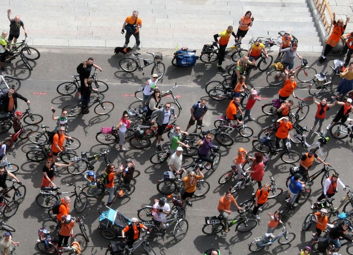 Lis zaprasza na odjazdowych książkożerców